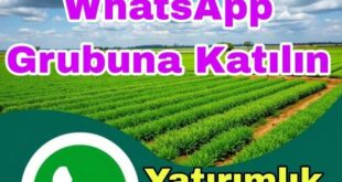 Yatırımlık Arsa Tarla Whatsapp Grubu
