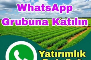 Yatırımlık Arsa Tarla Whatsapp Grubu