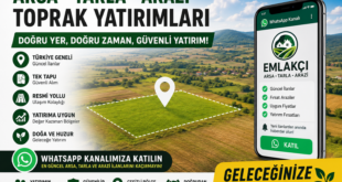 Emlakçılar için Whatsapp Kanalı Whatsapp Grubu